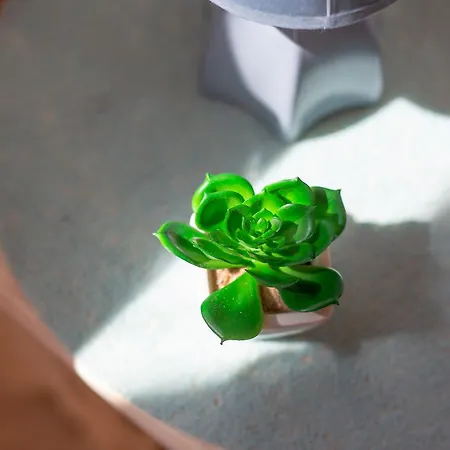 Z Widokiem Casa de Férias *