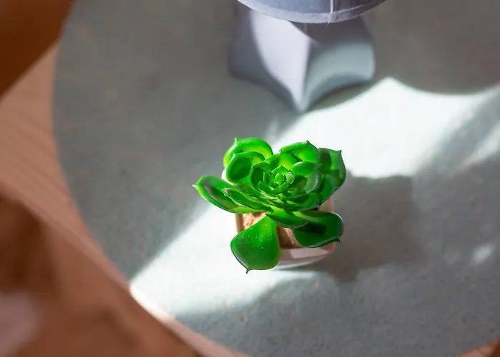 Z Widokiem 度假居 *